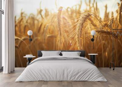 Close-up of ripe ears of grain in the sunlight Wall mural