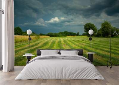 Cut grass in the meadow and cloudy skies Wall mural