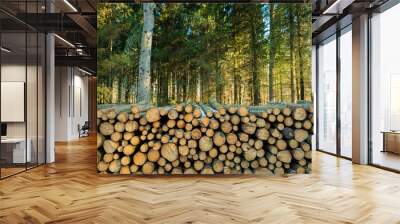 Cut trees on a pile in a green coniferous forest Wall mural