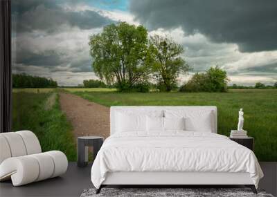 Dirt road between meadows with trees and cloudy sky Wall mural