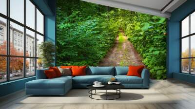 Dirt road in a green deciduous forest Wall mural