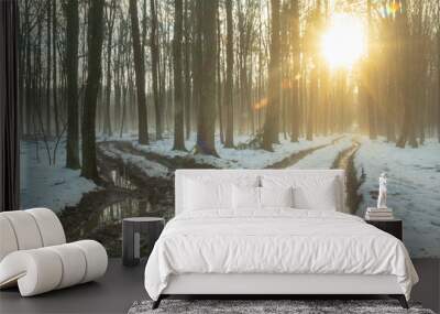 Glow of the sun with winter forest and muddy road fork Wall mural