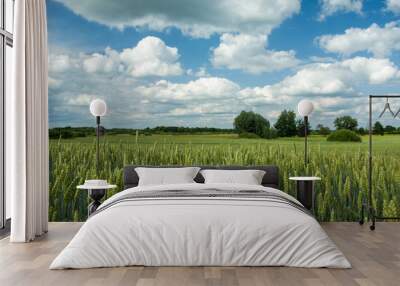 Green field of wheat, forest on the horizon and clouds in the sky Wall mural