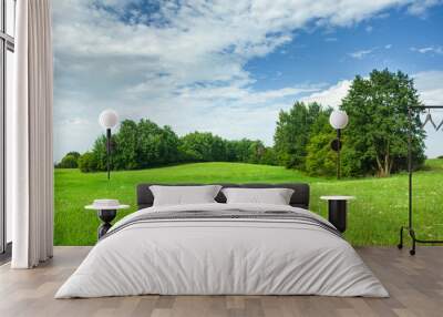 Green hilly meadow and trees, white clouds and blue sky Wall mural