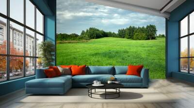 Green meadow with forest, view on a sunny day Wall mural