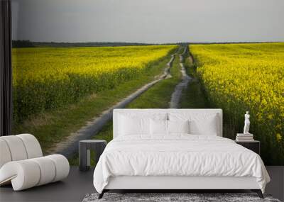 Long way through the rapeseed field Wall mural