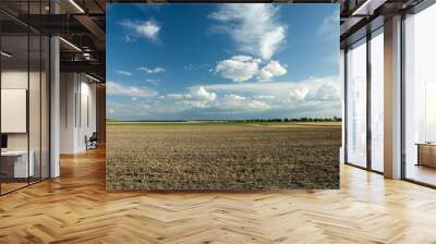 Plowed field, trees on the horizon and white clouds in the blue sky Wall mural