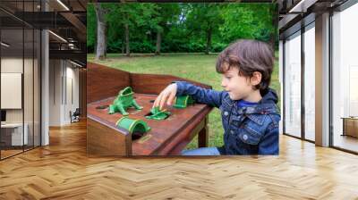 Young boy enjoying the Gioco della Rana table game outdoors. The child is focused on playing, highlighting traditional fun in a natural, green park setting. Wall mural