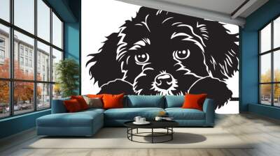 black and white peeking cavoodle dog Wall mural