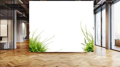 flower grass petals photo overlays, photoshop overlays, summer frame s, golden fields, png Wall mural