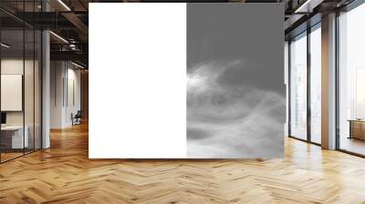 Fog transparent background. Fog png.  Clouds cloud png. Floating white fog effect. Cloud frame border. Fog cloud texture. Black clouds. Black smoke isolated on background Wall mural