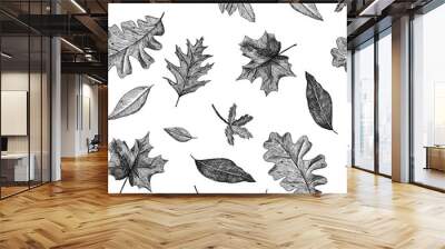 Seamless pattern of different falling leaves. Autumn background. Hand-drawn in the style of engraving Wall mural