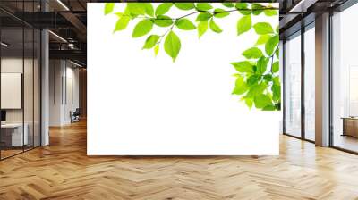 tree branch flower photo overlays, summer spring painted frame s, photo art, png Wall mural