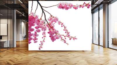 Tree branch flower Photo Overlays, Summer spring painted overlays, Photo art, png Wall mural