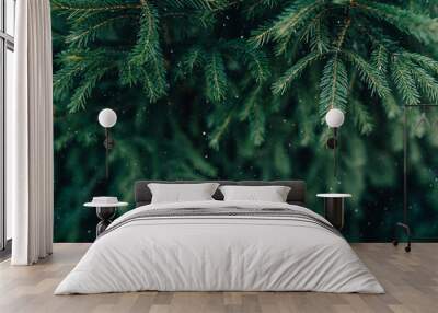 green branches ate with the first snow. winter green background Wall mural