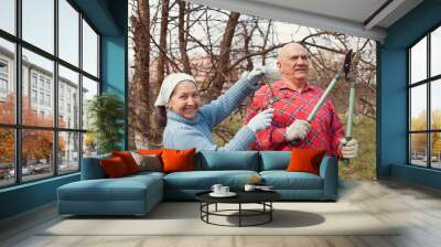 Mature couple  pruning apple trees with  pruners. Wall mural