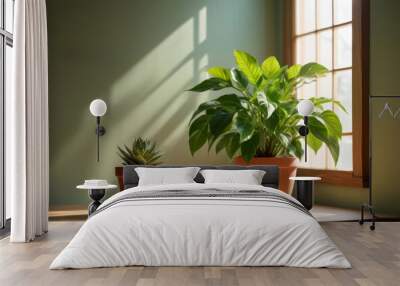 Pot with green house plant on table illuminated by sun rays Wall mural