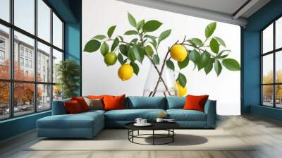 Transparent vase with lemon tree branches with fruits on white background Wall mural