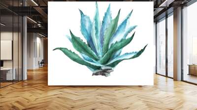 Agave organic plant. Hand  drawn watercolor illustration isolated on white background Wall mural