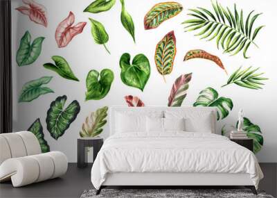 Colorful multicolor leaves of exotic tropical or jungle plants set, Watercolor hand drawn illustration, isolated on white background Wall mural