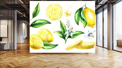 Fresh Lemon compositions set. Watercolor hand drawn illustration Wall mural