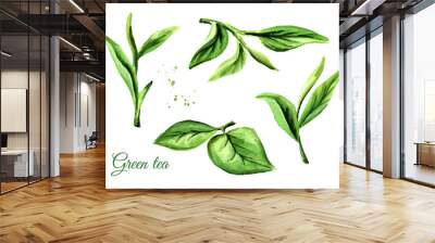 Green tea leaves set. Watercolor hand drawn illustration,  isolated on white background Wall mural