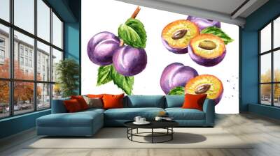 Plum fruits set. Watercolor hand drawn illustration, isolated on white background Wall mural