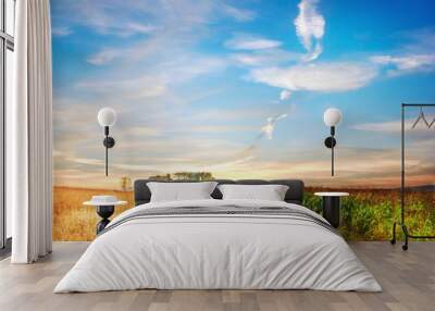 Idyllic rural landscape with road between two fields. Wall mural