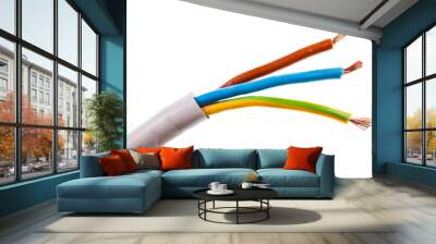 Electrical wire isolated Wall mural