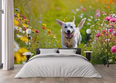 A white labrador retriever runs through a field of wildflowers on a sunny day. Wall mural