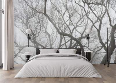 Moody background with Tree branches silhouette in fog Wall mural