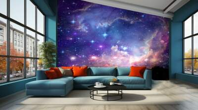 Galaxy back on night cloud sunset sky silhouette dry tree Wall mural