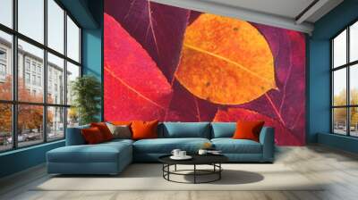 Red and yellow autumn leaves background / texture Wall mural