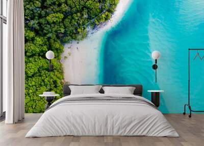 A vibrant aerial view of the beach Wall mural