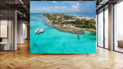 An aerial view of Isla Mujeres in Cancun, Mexico Wall mural