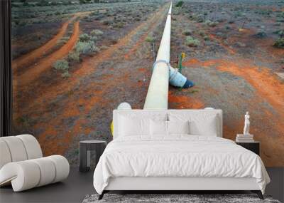 Engineers undertaking a condition assessment of an above ground water pipeline in the Australia outback	 Wall mural