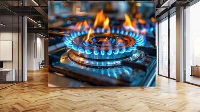 Gas stove burner in a kitchen Wall mural