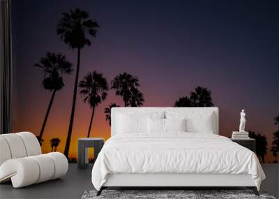 Venice beach palm trees at sunset in Los Angeles in California USA Wall mural