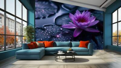 Beautiful lotus flowers on water after rain in garden. Wall mural