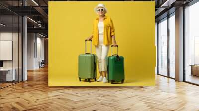 Elderly woman in green jacket with valise. Travel concept. Wall mural