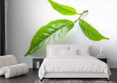 green tea leaf isolated on white background  green tea leaf isolated on white background Wall mural