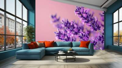 Lavender flowers  Lavender Wall mural