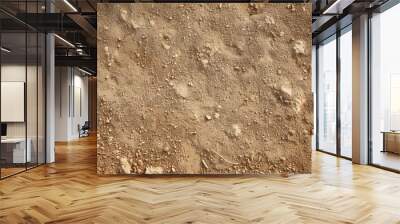 Sandy ground texture and background of ground Wall mural