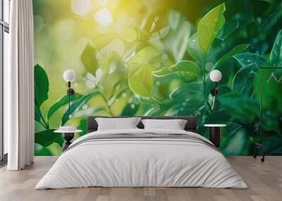 Sunny abstract green nature background  selective focus Wall mural