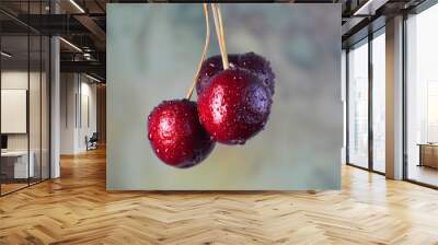 Cherries glistening with water drops Wall mural