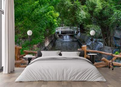 Two bridges span horizontally, offering a natural and shady view. The lush green trees are pleasing to the eye. On the right is a residential building. Suitable for use as a background image or illust Wall mural