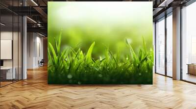 Closeup of lush uncut green grass with drops of dew in soft morning light Wall mural