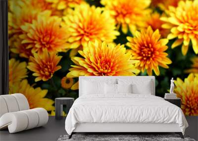 Chrysanthemum Wall mural