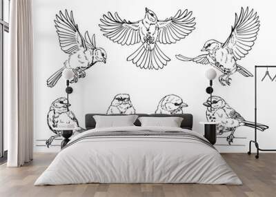 Set of titmouse. Flying bird. Hand drawn vector illustration. Wall mural