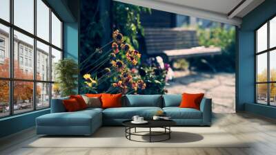 Beautiful garden flowers. Natural summer background on a wooden bench with space to copy. High quality photo Wall mural